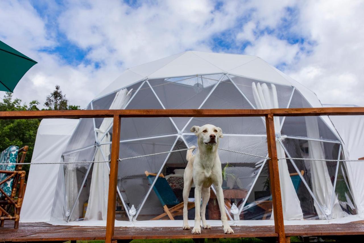 Glamping Claro De Luna جوتافيتا المظهر الخارجي الصورة